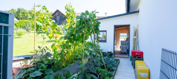 Casa de 4 divisões em Pinkafeld, Austria N.º 221053 22