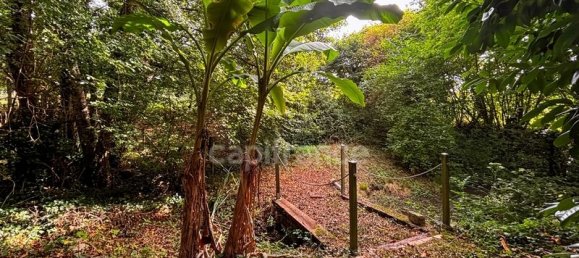 2 Schlafzimmer Haus in Sarthe, France, Nr. 333074 17