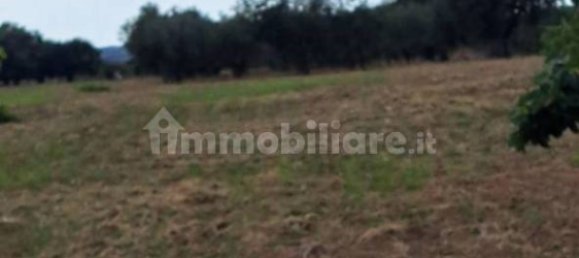 10010m² Land in Carosino, Italy No. 343625 4