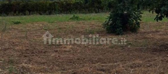  قطعة أرض في Carosino, Italy 10010متر مربع رقم 343625 6
