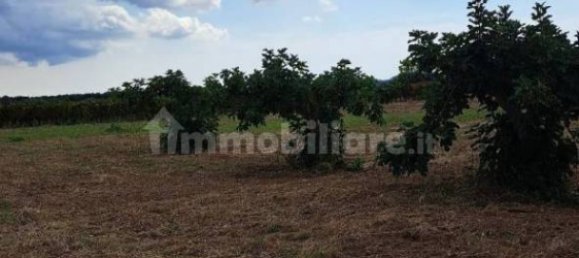 10010m² Land in Carosino, Italy No. 343625 3