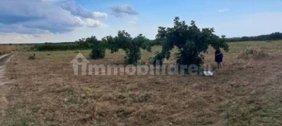 10010m² Land in Carosino, Italy No. 343625 5