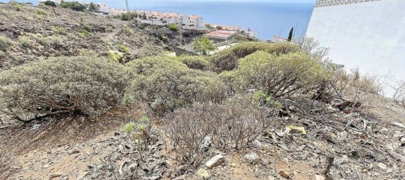 1638m² Land in El Rosario, Spain No. 229380 10