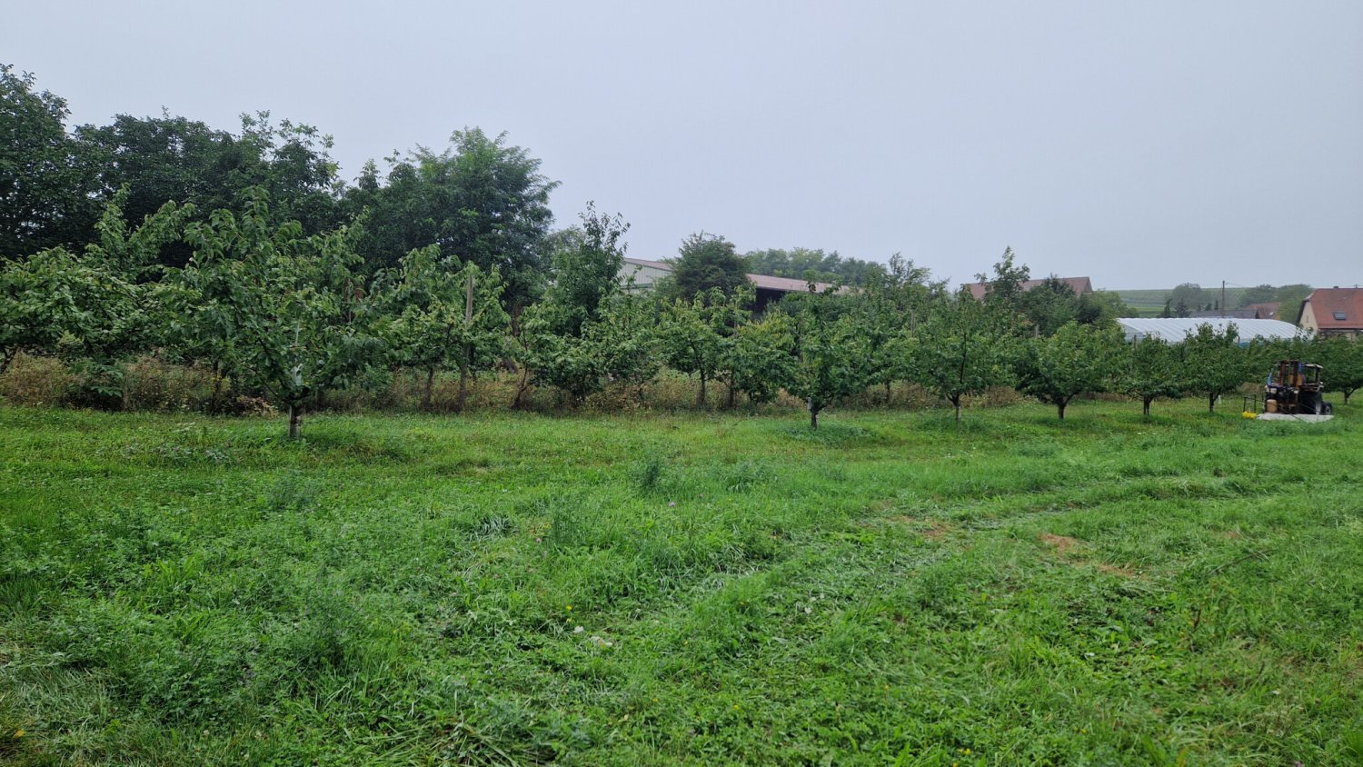  Land in Ebersheim, France No. 42468