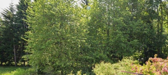 5 rooms House in Oberwart, Austria No. 243804 23