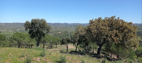 Terreno en Sao Bartolomeu de Messines, Portugal 360 m² No. 10249 3