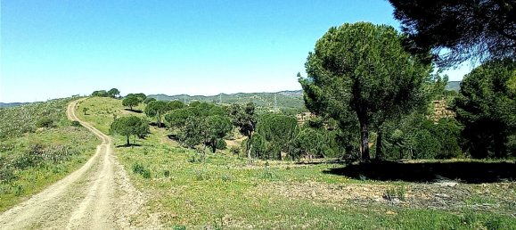 Terreno en Sao Bartolomeu de Messines, Portugal 360 m² No. 10249 4