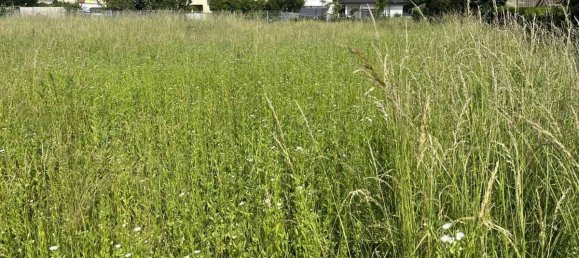  قطعة أرض في Neudorfl, Austria 1022متر مربع رقم 165577 3