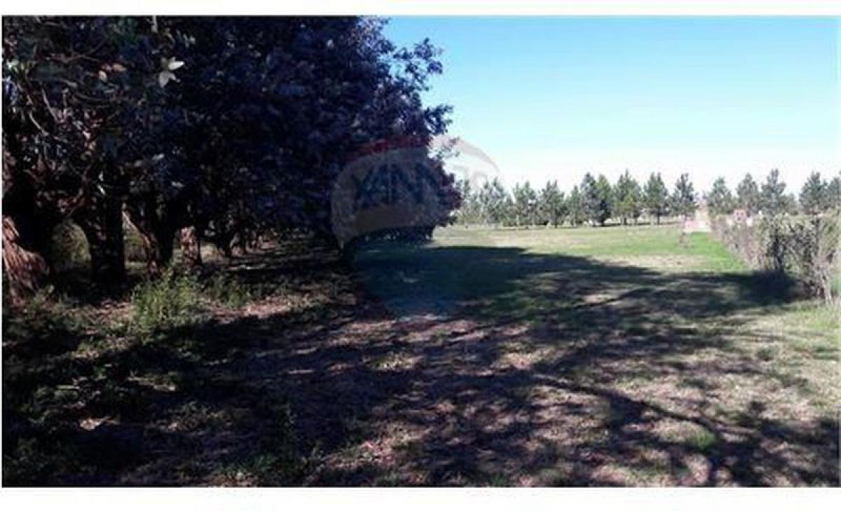 1 bedroom Land in Buenos Aires, Argentina No. 121908