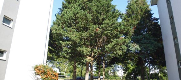 1 bedroom Apartment in Worms, Germany No. 317036 2