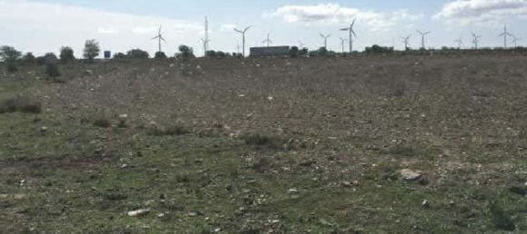 25388m² Land in La Muela, Spain No. 68171 2