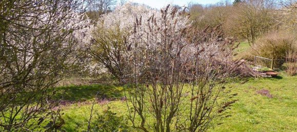 Дом с 3 спальнями в Бранденбург, Германия № 87552 8