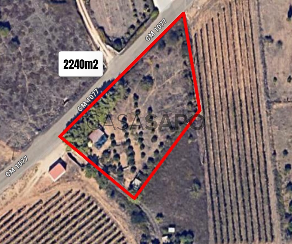 Terrain à Silves, Portugal No. 299986