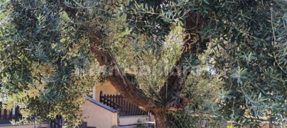 3 bedrooms House in Albano Laziale, Italy No. 325072 45