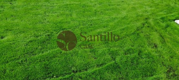 5 bedrooms Villa in Grottaferrata, Italy No. 117517 8