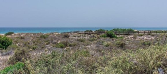 2 bedrooms Apartment in Alicante, Spain No. 129681 23