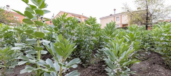 Grundstück in Cajar, Spain 714m², Nr. 175737 10