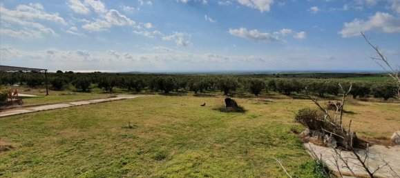 4 bedrooms Commercial property in Chalkidiki, Greece No. 4269 15