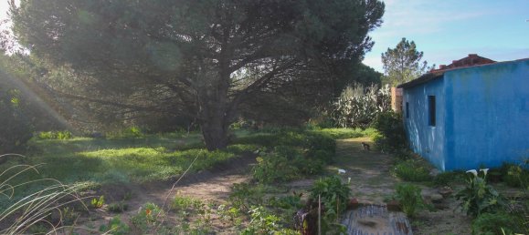 Casa de 1 dormitorio en Santiago do Cacem, Portugal No. 18089 15