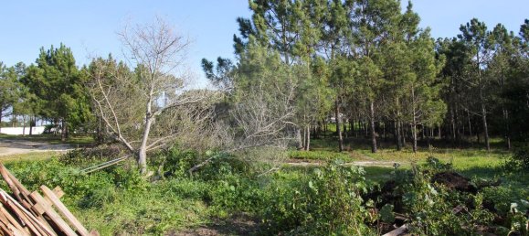 Casa de 1 dormitorio en Santiago do Cacem, Portugal No. 18089 16