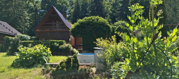  Land in Weimarer Land, Germany No. 219305 3