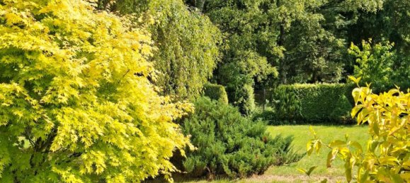  Land in Weimarer Land, Germany No. 219305 10