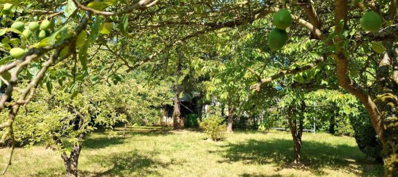  Land in Weimarer Land, Germany No. 219305 11