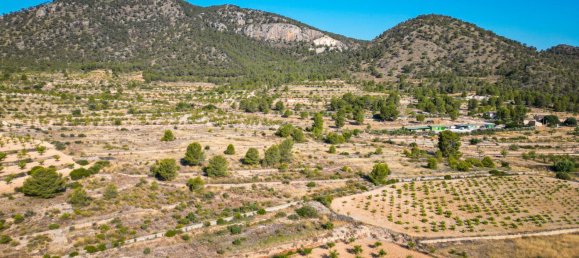 3 chambres Maison à Monovar, Spain No. 143953 58