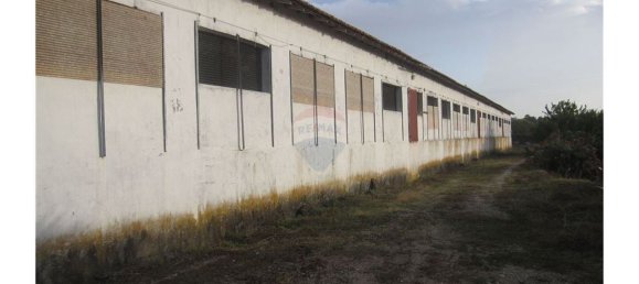 Gebäude in Torres Novas, Portugal 1578m², Nr. 71261 17