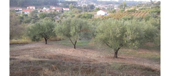 Gebäude in Torres Novas, Portugal 1578m², Nr. 71261 26