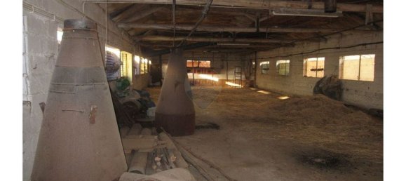 Gebäude in Torres Novas, Portugal 1578m², Nr. 71261 36