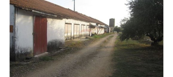 Gebäude in Torres Novas, Portugal 1578m², Nr. 71261 34