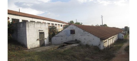 Gebäude in Torres Novas, Portugal 1578m², Nr. 71261 15