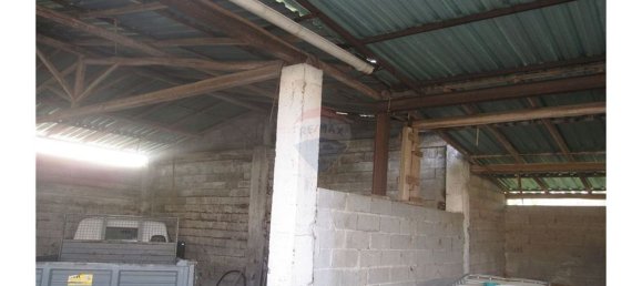 Gebäude in Torres Novas, Portugal 1578m², Nr. 71261 13