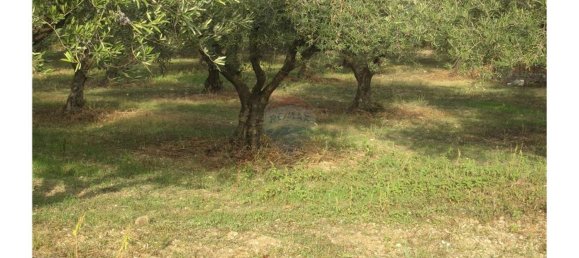 Gebäude in Torres Novas, Portugal 1578m², Nr. 71261 9