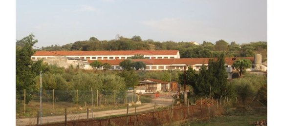 Gebäude in Torres Novas, Portugal 1578m², Nr. 71261 40