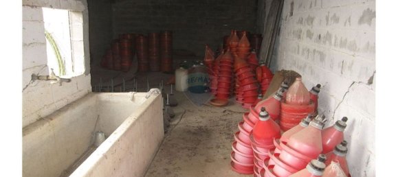 Gebäude in Torres Novas, Portugal 1578m², Nr. 71261 12