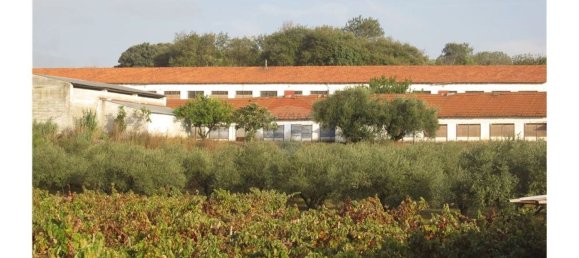 Gebäude in Torres Novas, Portugal 1578m², Nr. 71261 2