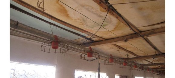 Gebäude in Torres Novas, Portugal 1578m², Nr. 71261 28