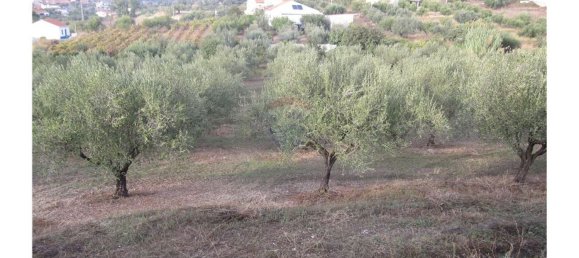 Gebäude in Torres Novas, Portugal 1578m², Nr. 71261 23