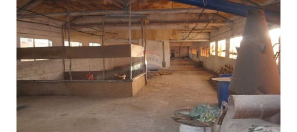 Gebäude in Torres Novas, Portugal 1578m², Nr. 71261 37