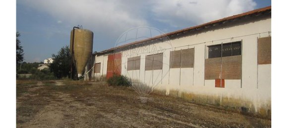 Gebäude in Torres Novas, Portugal 1578m², Nr. 71261 16