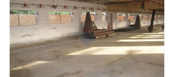 Gebäude in Torres Novas, Portugal 1578m², Nr. 71261 21