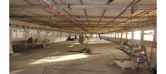 Gebäude in Torres Novas, Portugal 1578m², Nr. 71261 18