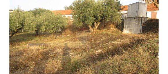 Gebäude in Torres Novas, Portugal 1578m², Nr. 71261 39