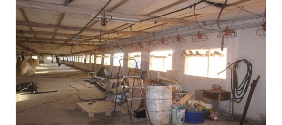 Gebäude in Torres Novas, Portugal 1578m², Nr. 71261 19