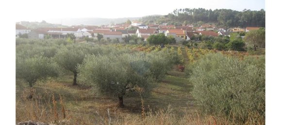 Gebäude in Torres Novas, Portugal 1578m², Nr. 71261 11