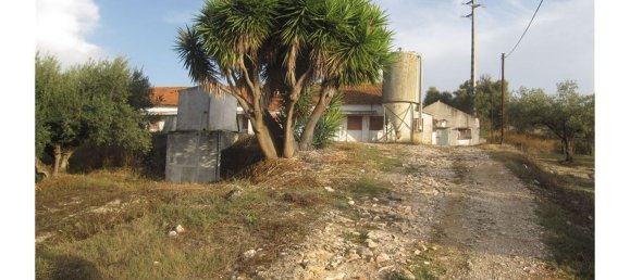 Gebäude in Torres Novas, Portugal 1578m², Nr. 71261 7