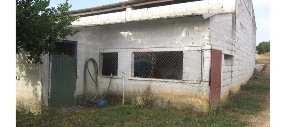 Gebäude in Torres Novas, Portugal 1578m², Nr. 71261 8