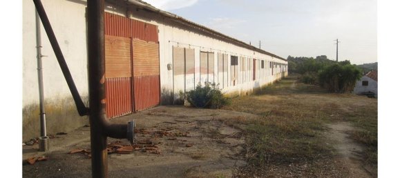 Gebäude in Torres Novas, Portugal 1578m², Nr. 71261 32